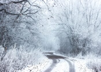 Zdjęcie ilustracyjne. Fot. Pixabay