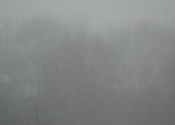 Gęsta mgła w Lubuskiem 14 Gęsta mgła w Lubuskiem Radio Zachód - Lubuskie