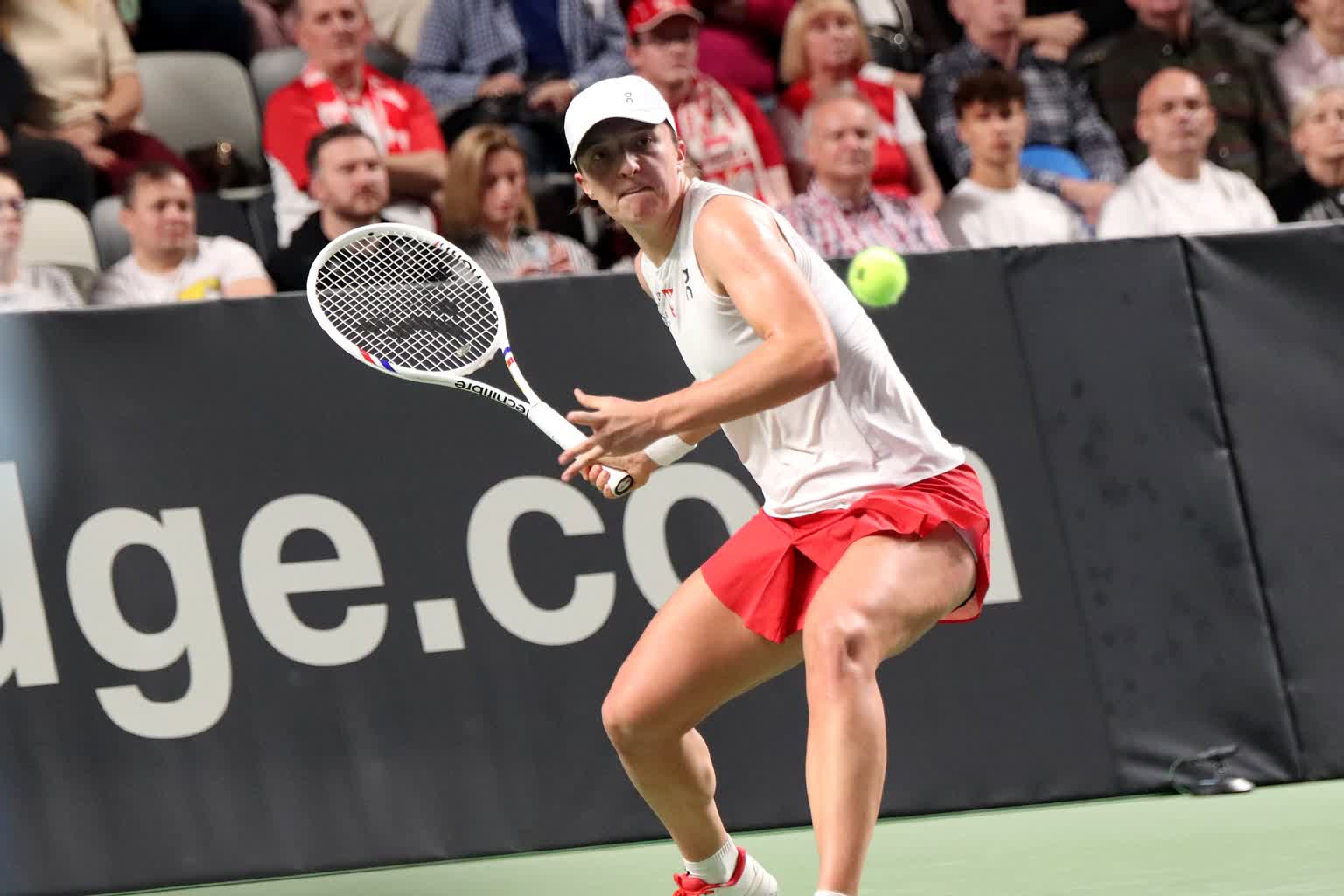 IMG_7140 (Custom).JPG