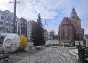 Choinka już stoi, ozdoby są ustawiane Radio Zachód - Lubuskie