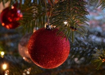 W niedzielę miejska wigilia na deptaku Radio Zachód - Lubuskie