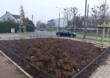 Nowy eko-skwer na Osiedlu Piaski Radio Zachód - Lubuskie