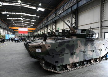 Borsuki na eksport: Szansa dla polskiej zbrojeniówki 10 fot: PAP/Darek Delmanowicz