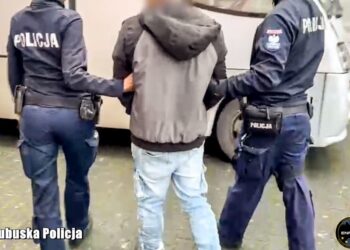 Zatrzymanie poszukiwanego Europejskim Nakazem Aresztowania 11 fot. Lubuska Policja/ENFAST
