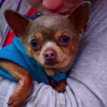 Obraz Trevor M z Pixabay