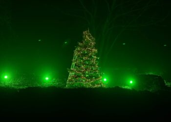 Stowarzyszenie Bunkrowa integruje przed świętami! Radio Zachód - Lubuskie