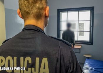 14 osób oskarżonych o działanie w grupie przestępczej kradnącej towary z tirów 10 Zdjęcie ilustracyjne. Fot. Lubuska Policja/FB