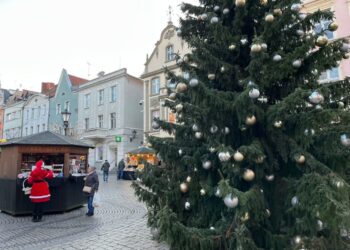 Jarmark bożonarodzeniowy na zielonogórskim deptaku [ZDJĘCIA] Radio Zachód - Lubuskie