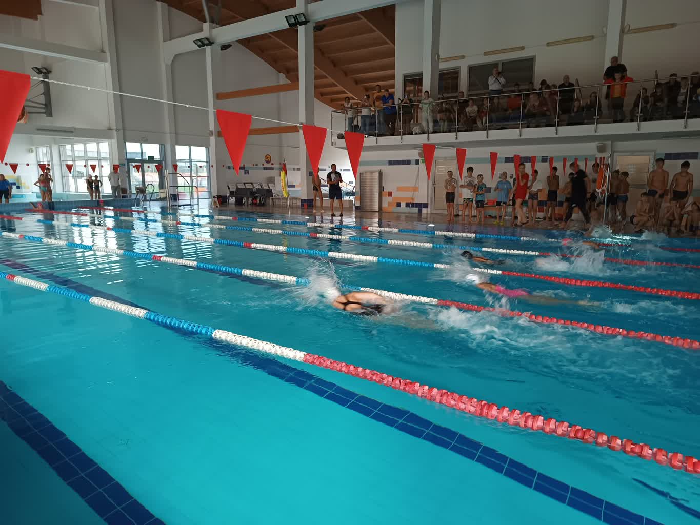 Mikołajkowe zawody pływackie