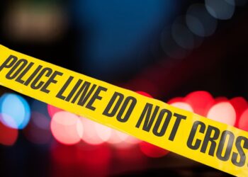 Strzelanina na kampusie uczelni w USA. Są ofiary śmiertelne i ranni 12 Fot. Freepik i Pixabay