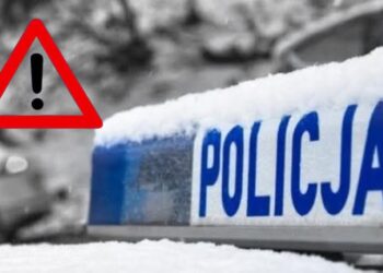 Szczątki obiektu przypominającego drona znalezione w lesie w powiecie radzyńskim 10 Fot. Policja Lubelska/FB