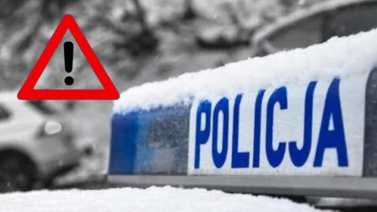 Szczątki obiektu przypominającego drona znalezione w lesie w powiecie radzyńskim 9 Fot. Policja Lubelska/FB