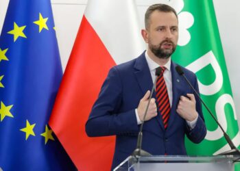 Kosiniak-Kamysz: PSL jest filarem koalicji i siłą napędową rządu 10 Władysław Kosiniak-Kamysz, fot. PAP/Tomasz Gzell