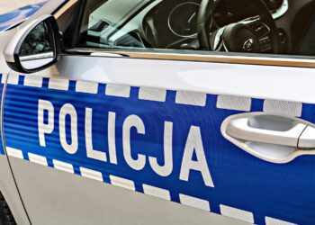 Zdjęcie ilustracyjne. Fot. Pixabay