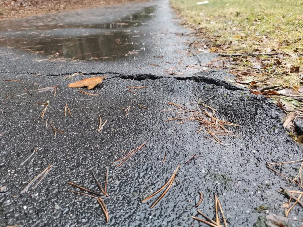 Renowacja ścieżki Gubin – Żytowań fot. Starostwo Powiatowe w Krośnie Odrzańskim