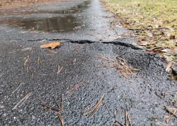 Renowacja ścieżki Gubin – Żytowań 10 fot. Starostwo Powiatowe w Krośnie Odrzańskim