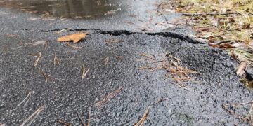 fot. Starostwo Powiatowe w Krośnie Odrzańskim