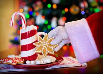 Biblioteka Kultury zaprasza na 12 fot. Pixabay