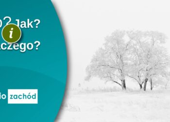 Jak pomagać ptakom zimą? 14 Jak pomagać ptakom zimą? Radio Zachód - Lubuskie