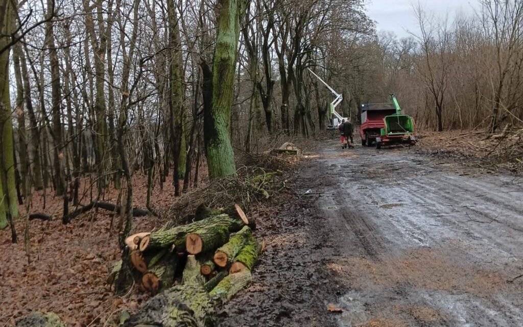 Ruszyły pierwsze prace w pasie drogi do małego Bożnowa 3 fot. Urząd Gminy Żagań