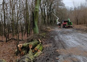 Ruszyły pierwsze prace w pasie drogi do małego Bożnowa 11 fot. Urząd Gminy Żagań