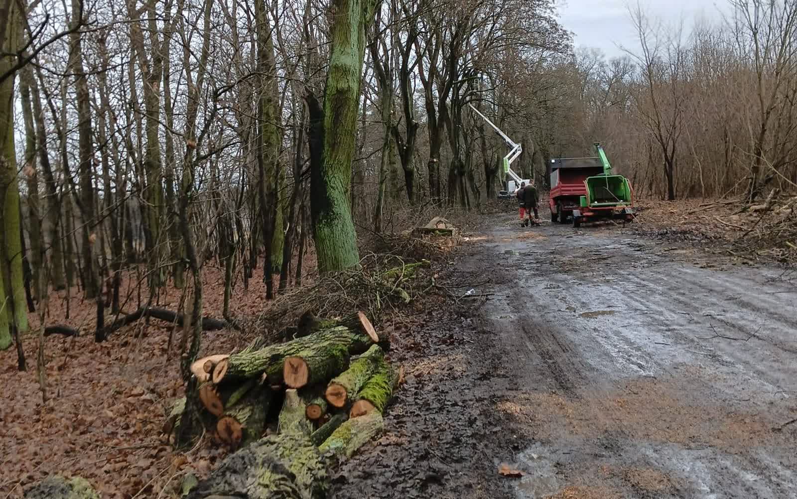 Ruszyły pierwsze prace w pasie drogi do małego Bożnowa