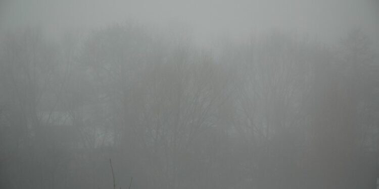 Dziś gęste mgły w Lubuskiem Radio Zachód - Lubuskie