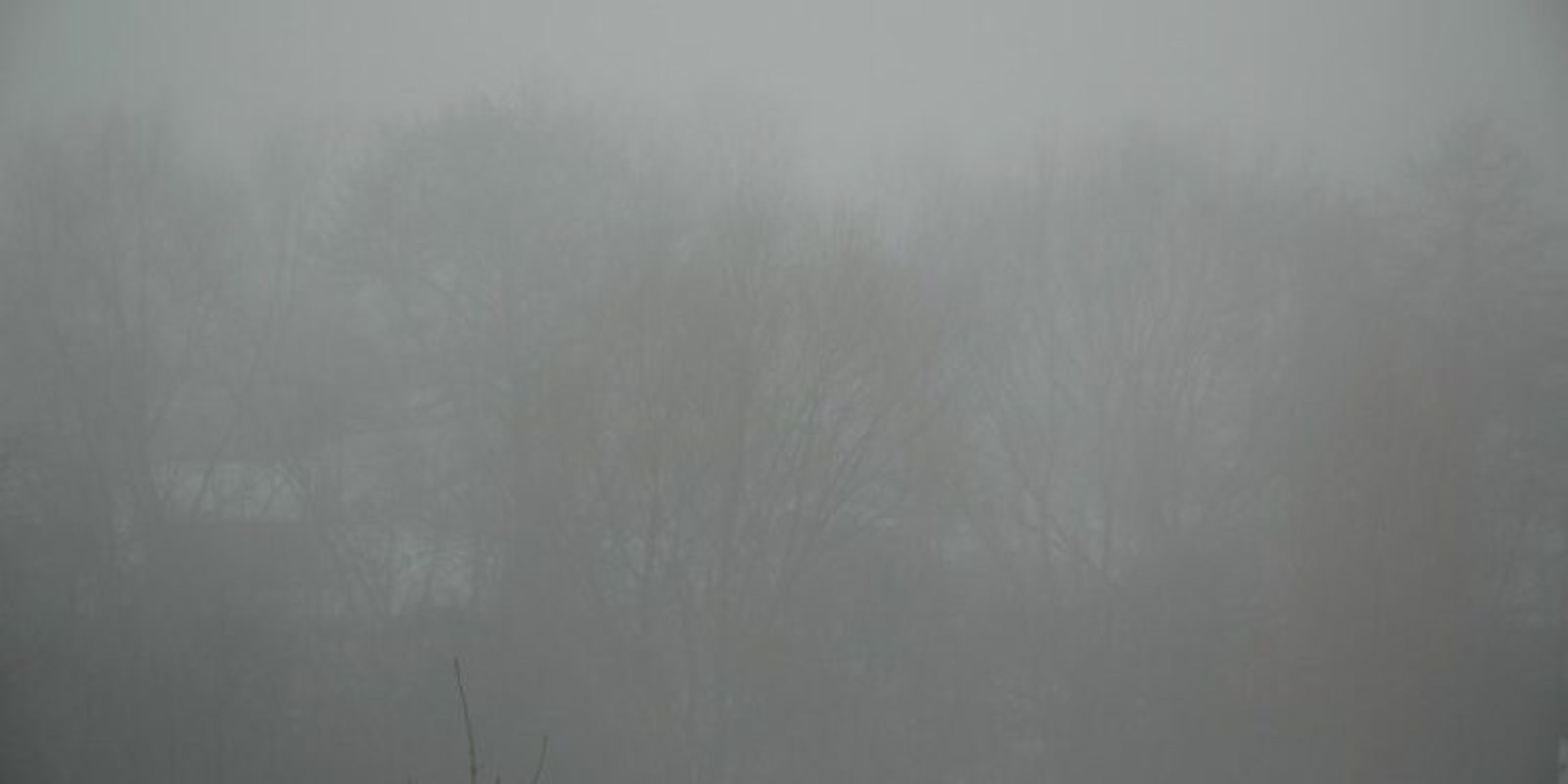 Dziś gęste mgły w Lubuskiem Radio Zachód - Lubuskie