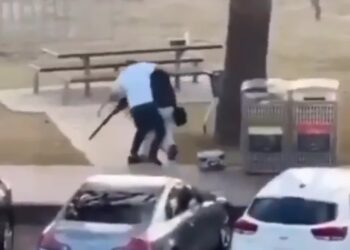 Ahmed al-Ahmed rozbroił jednego z napastników, fot. X/@dwnews, screenshot