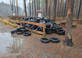 200 zużytych opon wyrzuconych w lesie 15 fot. Nadleśnictwo Żagań