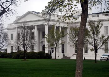 Biały Dom. Waszyngton. Fot. Pixabay