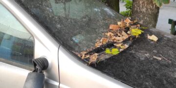 Zmiana opłat za usunięcie i przechowywanie samochodów na parkingu miejskim Radio Zachód - Lubuskie