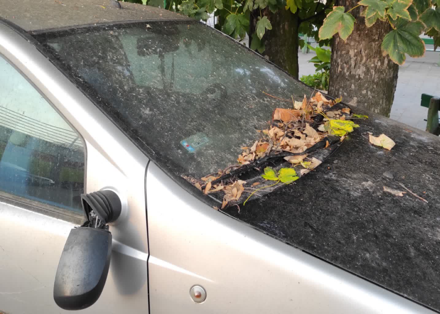 Zmiana opłat za usunięcie i przechowywanie samochodów na parkingu miejskim 10 Zmiana opłat za usunięcie i przechowywanie samochodów na parkingu miejskim Radio Zachód - Lubuskie