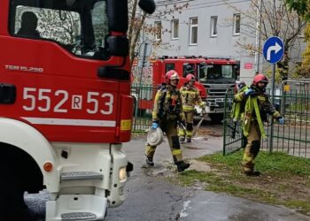 Zdjęcie ilustracyjne. Fot. Komenda Powiatowa Państwowej Straży Pożarnej w Stalowej Woli/FB