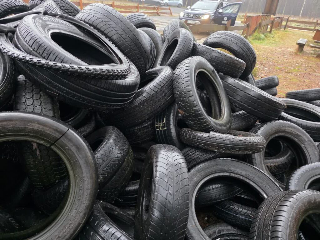 fot. Nadleśnictwo Żagań