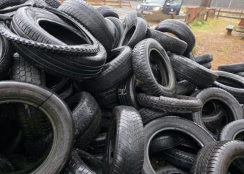 fot. Nadleśnictwo Żagań