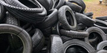 fot. Nadleśnictwo Żagań