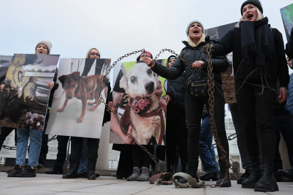 Ulicami Warszawy przeszedł „Wielki Marsz dla Zwierząt” 3 WARSZAWA MARSZ DLA ZWIERZĄT. Fot. PAP/Leszek Szymański