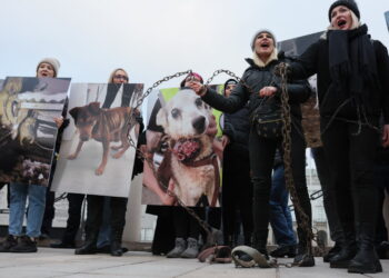 Ulicami Warszawy przeszedł „Wielki Marsz dla Zwierząt” 10 WARSZAWA MARSZ DLA ZWIERZĄT. Fot. PAP/Leszek Szymański