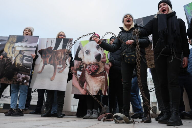 Ulicami Warszawy przeszedł „Wielki Marsz dla Zwierząt” 9 WARSZAWA MARSZ DLA ZWIERZĄT. Fot. PAP/Leszek Szymański