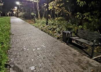 Wyremontowana ścieżka nad jezioro 17 fot. UM Rzepin