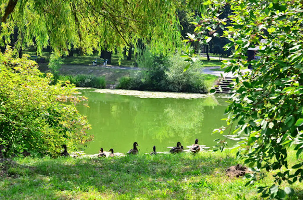 Kacza Górka Nowa Sól