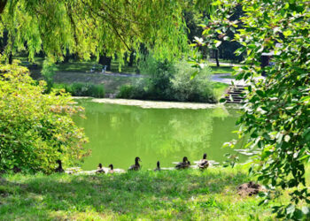 Kacza Górka Nowa Sól