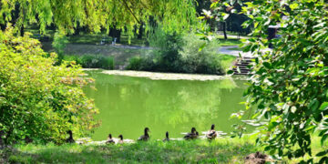 Kacza Górka Nowa Sól