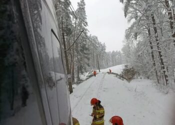 materiały PKP Intercity / X