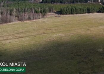 fot. Krzysztof Filmanowicz