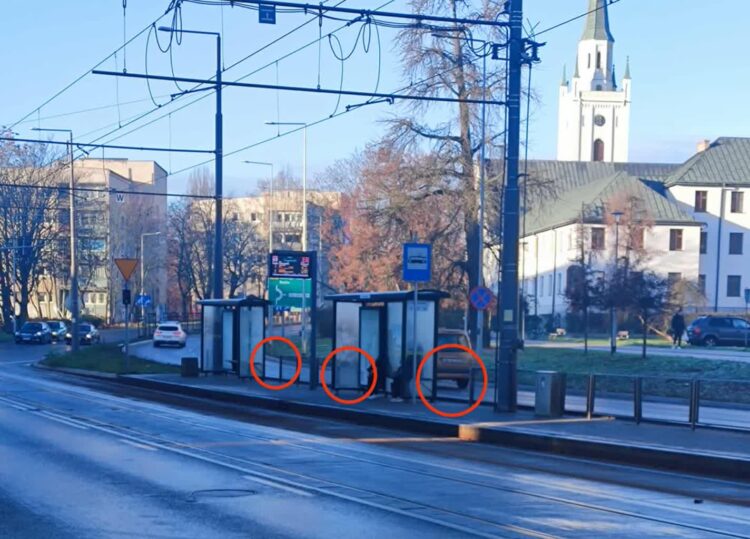 fot. słuchaczka Laura