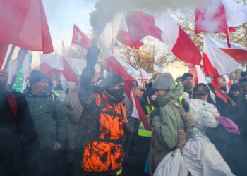 Protest rolników w Warszawie (PAP/Paweł Supernak)