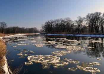 Zdjęcie ilustracyjne. Fot. Pixabay