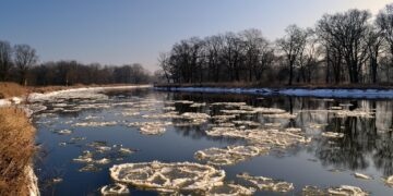 Zdjęcie ilustracyjne. Fot. Pixabay